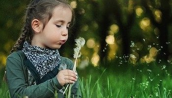 Energie update Witte Wind levenspad 10-22 april 2022 